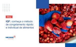IQF: conheça o método de congelamento rápido e individual de alimentos