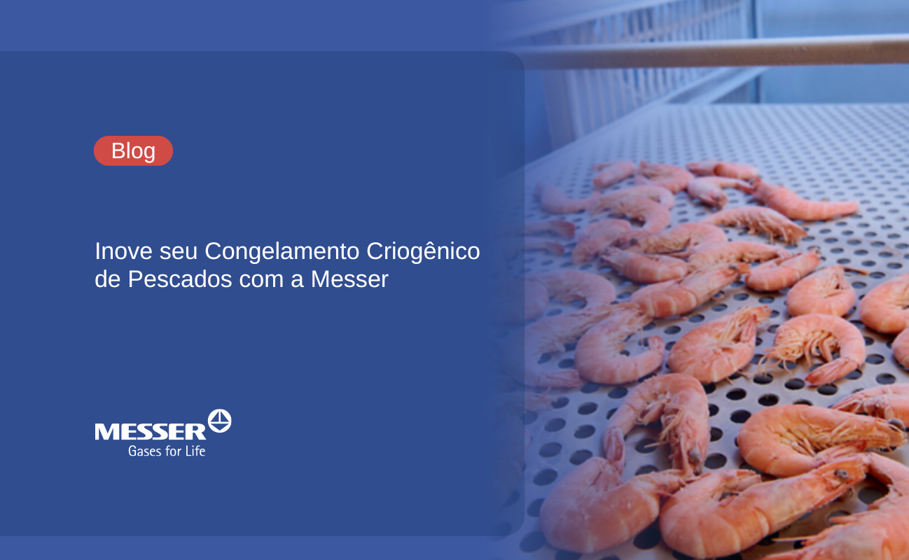 Inove seu Congelamento Criogênico de Pescados com a Messer