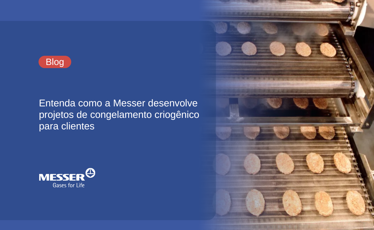 Entenda como a Messer desenvolve projetos de congelamento criogênico para clientes